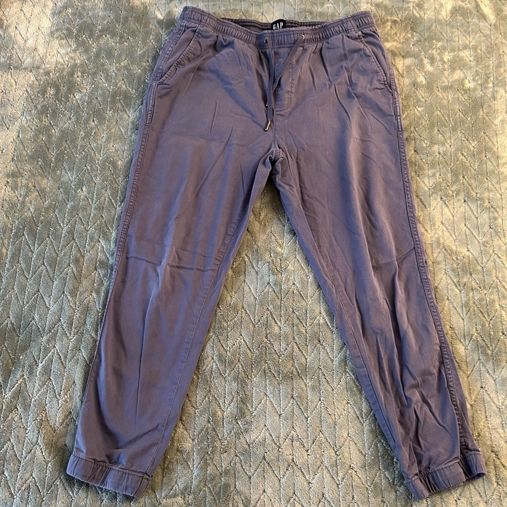 GAP Men's Slate Blue Joggers